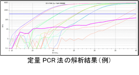 2_PCR.png