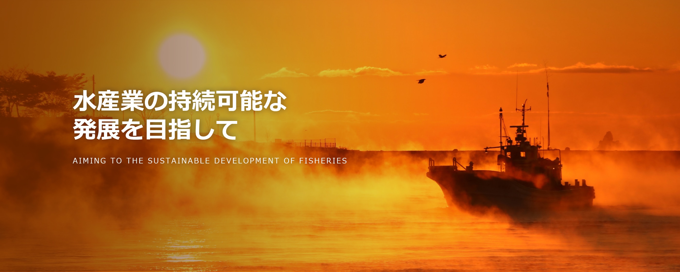 水産業の持続可能な発展を目指して AIMING TO THE SUSTAINABLE DEVELOPMENT OF FISHERIES